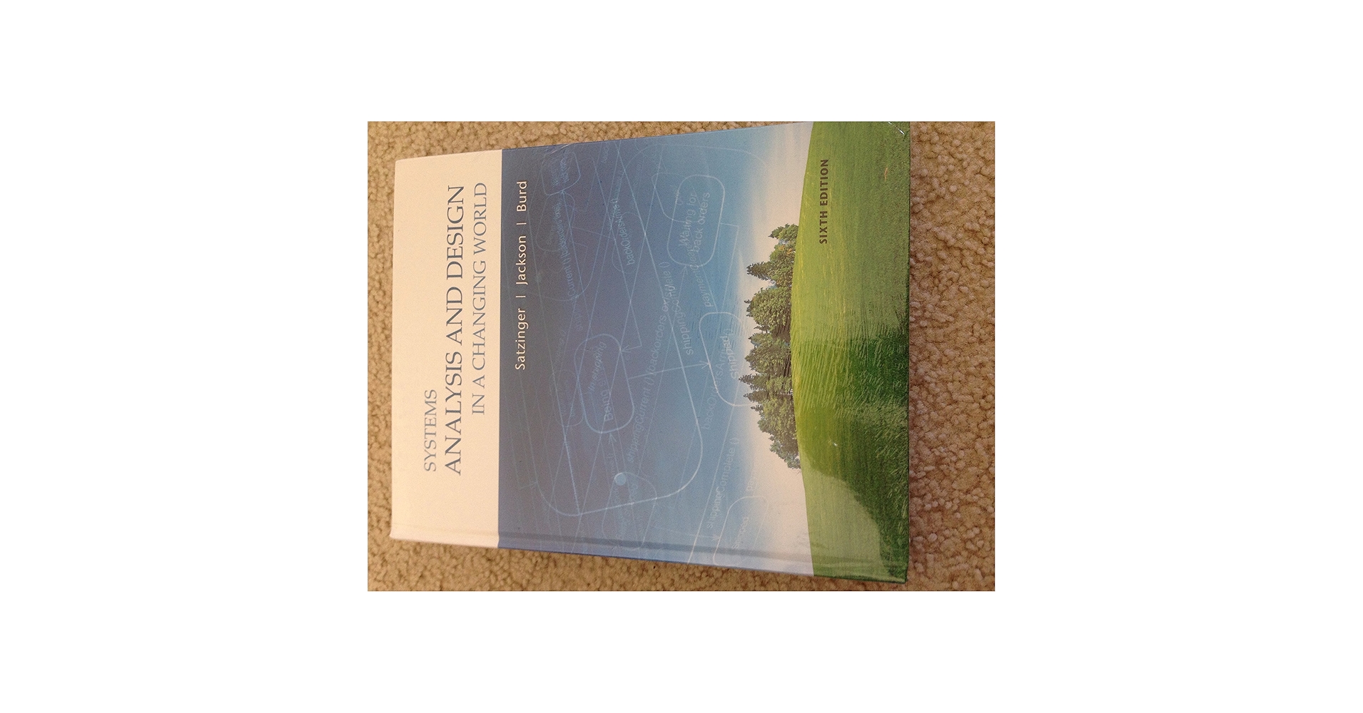 Amazon.com: Systems Analysis and Design in a Changing World